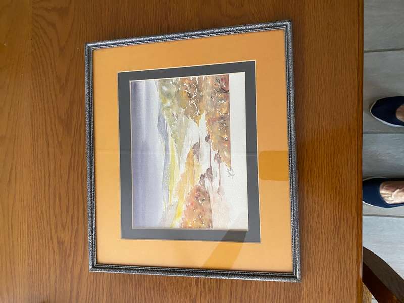 Original watercolour of South African landscape